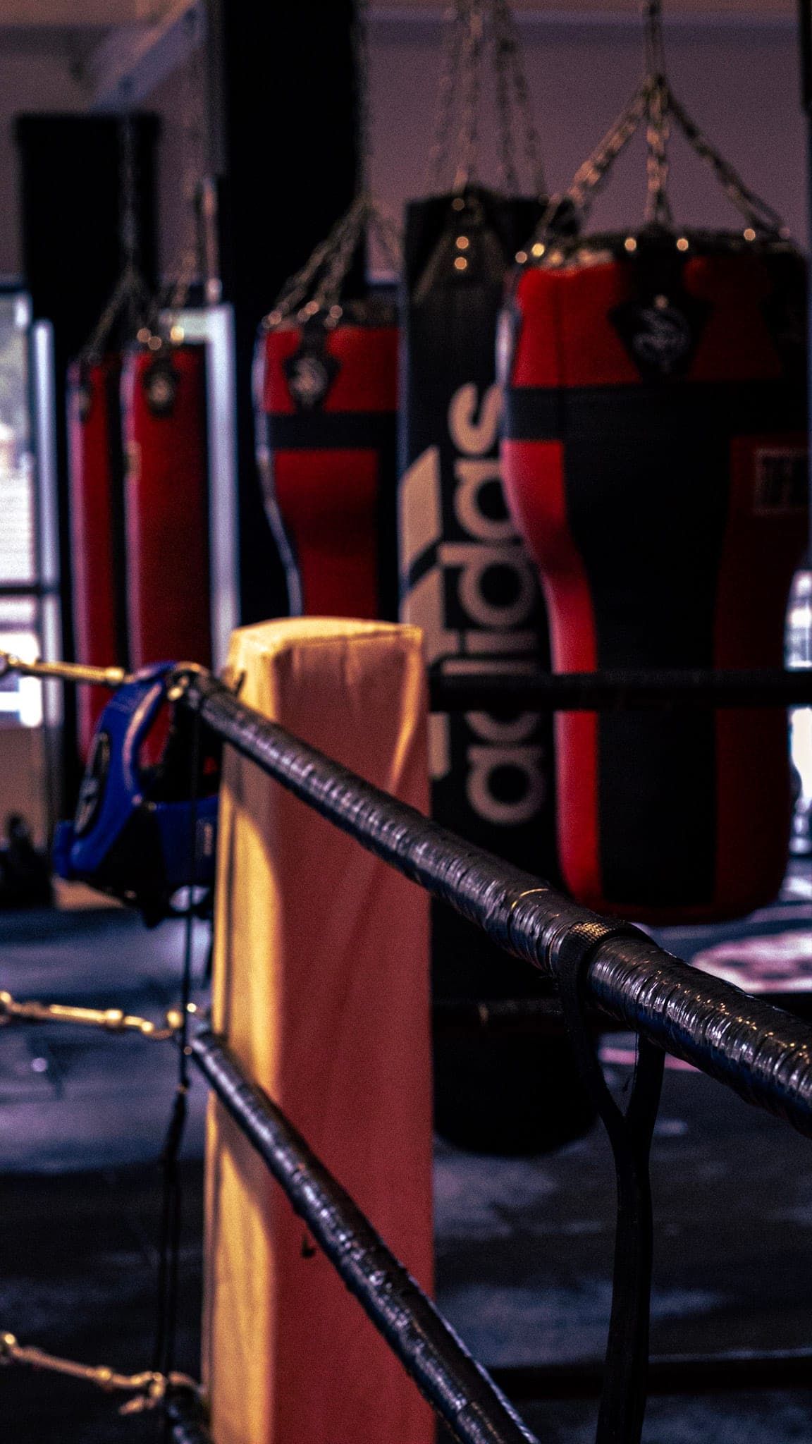 Heavy bags hanging beside the corner of the boxing ring